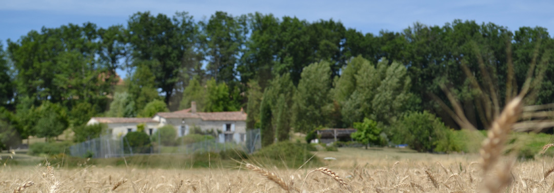 house_from_below_2nd_bank